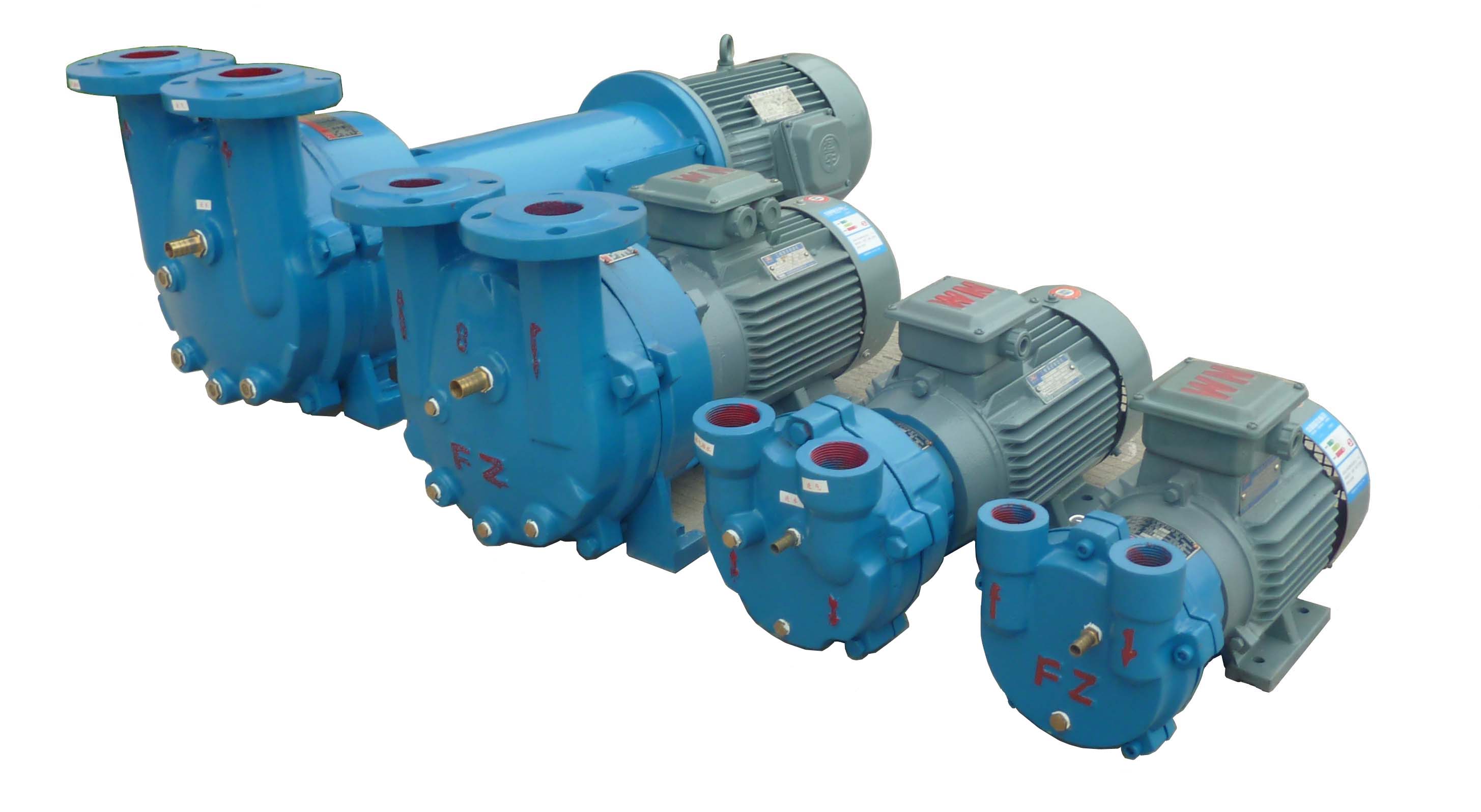 2BVF系列水環式真空泵